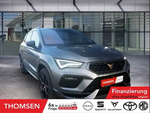 Annonce CUPRA ATECA Essence 2024 d'occasion 