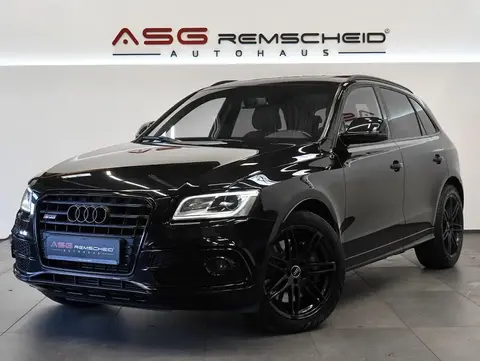 Annonce AUDI SQ5 Diesel 2016 d'occasion 