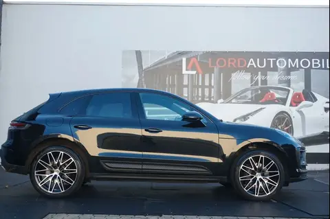 Annonce PORSCHE MACAN Essence 2024 d'occasion 