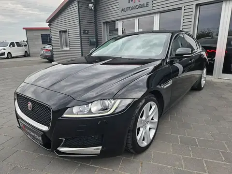 Annonce JAGUAR XF Diesel 2015 d'occasion 