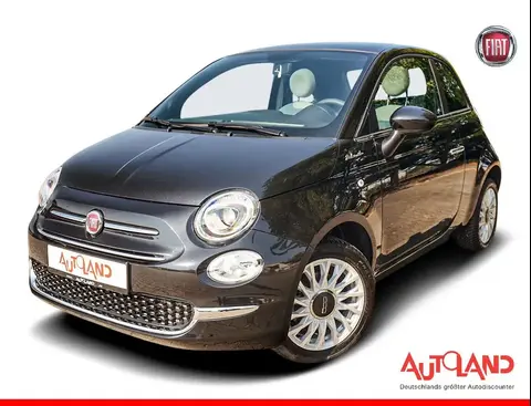 Used FIAT 500 Petrol 2023 Ad 