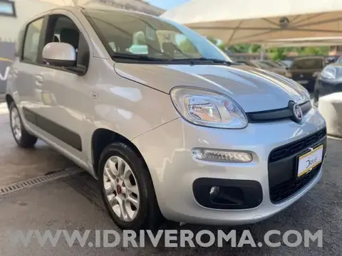 Annonce FIAT PANDA Essence 2019 d'occasion 