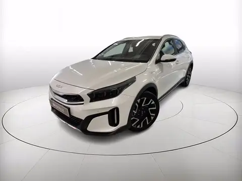 Annonce KIA XCEED Hybride 2023 d'occasion 