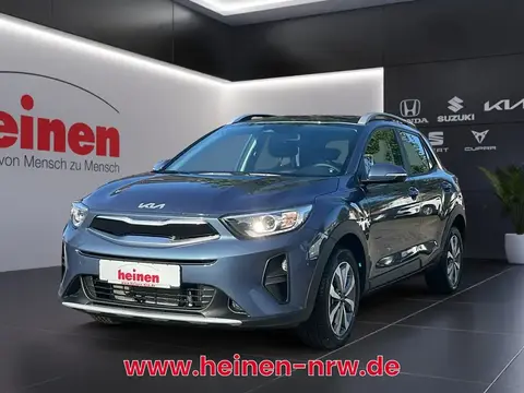 Annonce KIA STONIC Essence 2024 d'occasion 