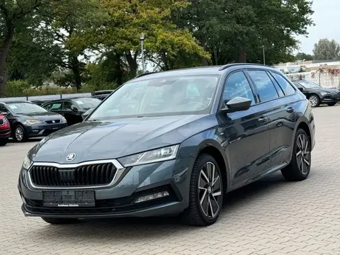 Annonce SKODA OCTAVIA Diesel 2021 d'occasion 