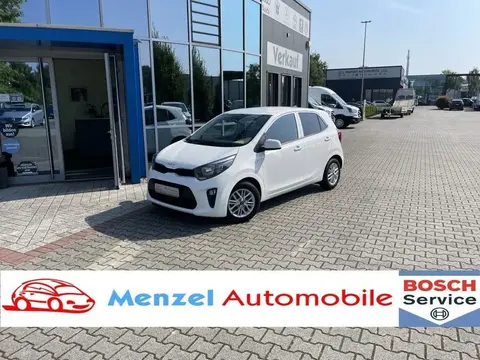 Used KIA PICANTO Petrol 2023 Ad 