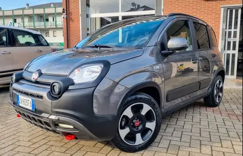 Used FIAT PANDA Hybrid 2023 Ad 