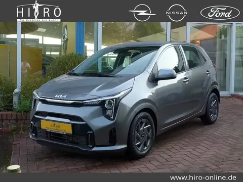 Annonce KIA PICANTO Essence 2024 d'occasion 