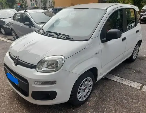 Annonce FIAT PANDA Essence 2019 d'occasion 