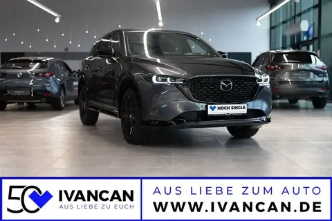 Used MAZDA CX-5 Petrol 2024 Ad 