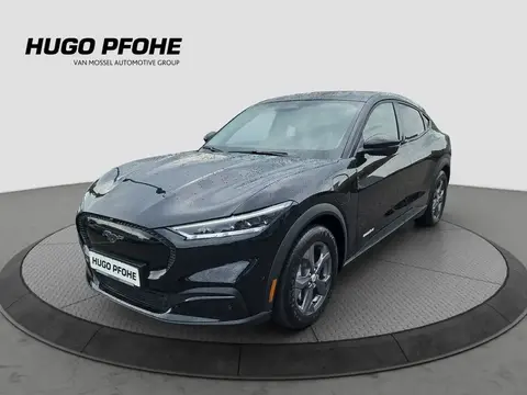 Used FORD MUSTANG Not specified 2023 Ad 