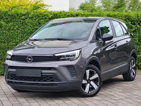 Annonce OPEL CROSSLAND Essence 2023 d'occasion 