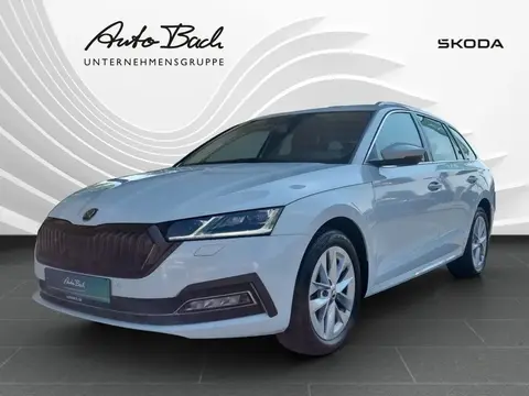 Annonce SKODA OCTAVIA Diesel 2023 d'occasion 