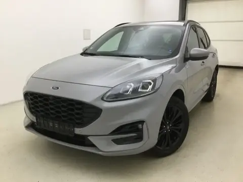 Used FORD KUGA Hybrid 2023 Ad 