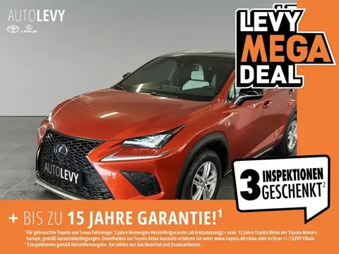 Used LEXUS NX Hybrid 2021 Ad 