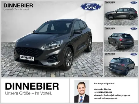 Used FORD KUGA Petrol 2020 Ad 