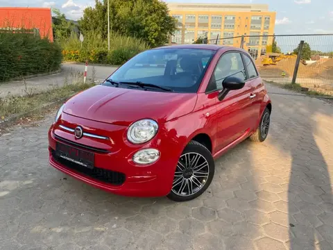 Used FIAT 500 Petrol 2019 Ad 