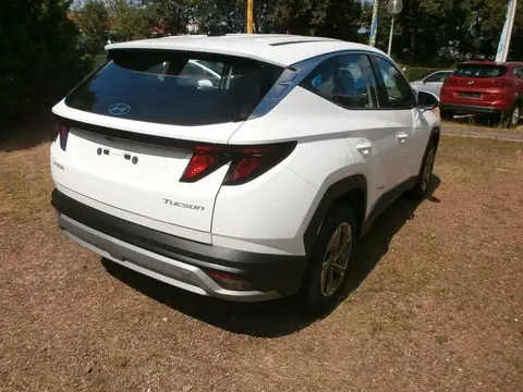 Used HYUNDAI TUCSON Diesel 2024 Ad 