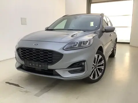 Annonce FORD KUGA Hybride 2024 d'occasion 