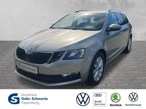 Used SKODA OCTAVIA Diesel 2019 Ad 