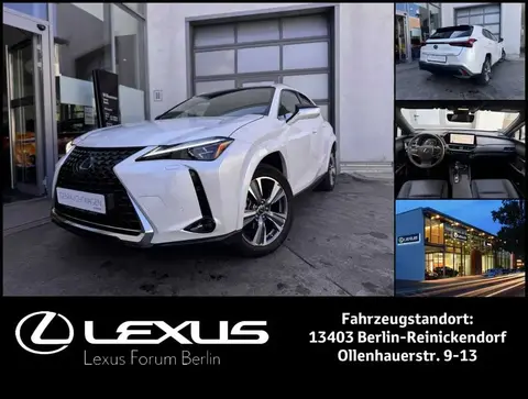 Annonce LEXUS UX Non renseigné 2023 d'occasion 