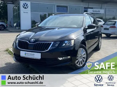 Used SKODA OCTAVIA Diesel 2020 Ad 