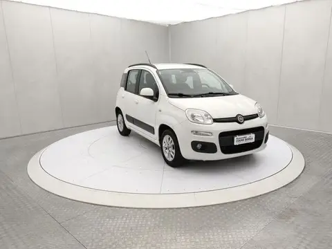 Used FIAT PANDA LPG 2017 Ad 