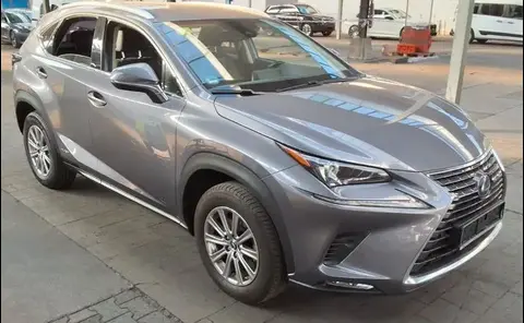 Annonce LEXUS NX Hybride 2021 d'occasion 