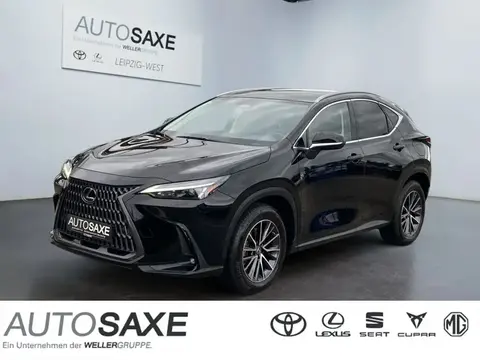 Annonce LEXUS NX Hybride 2022 d'occasion 