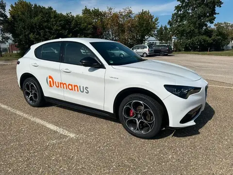 Used ALFA ROMEO STELVIO Petrol 2023 Ad 