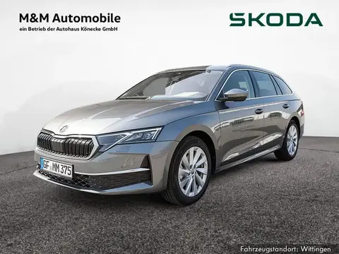 Used SKODA OCTAVIA Petrol 2024 Ad 