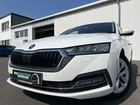 Annonce SKODA OCTAVIA Diesel 2020 d'occasion 