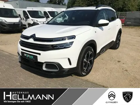 Used CITROEN C5 AIRCROSS Hybrid 2022 Ad 