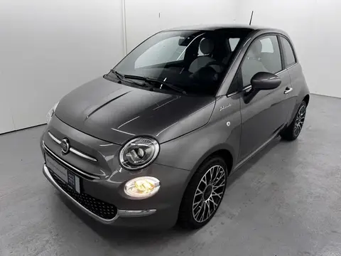 Used FIAT 500 Petrol 2022 Ad 