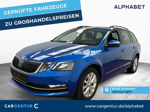 Annonce SKODA OCTAVIA Diesel 2019 d'occasion 