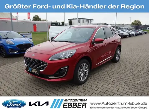 Annonce FORD KUGA Hybride 2023 d'occasion 