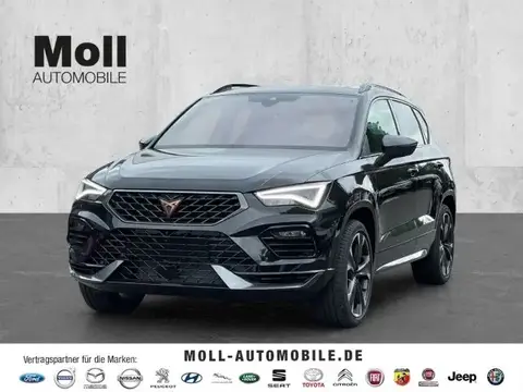 Annonce CUPRA ATECA Essence 2024 d'occasion 