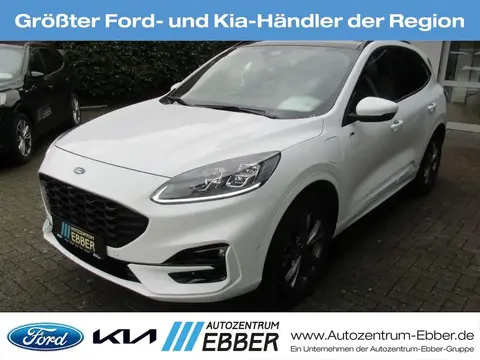 Used FORD KUGA Hybrid 2022 Ad 