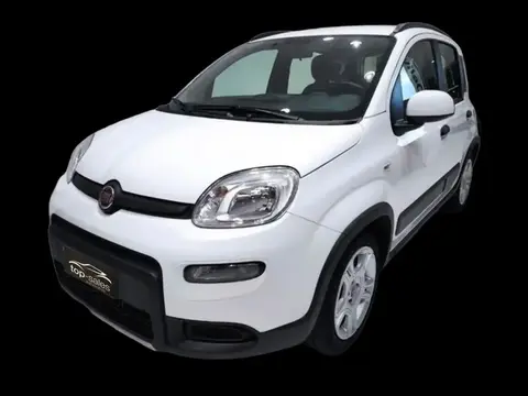 Used FIAT PANDA Hybrid 2022 Ad 