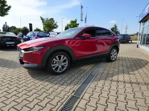 Used MAZDA CX-30 Petrol 2020 Ad 