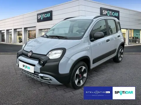 Used FIAT PANDA Petrol 2021 Ad 