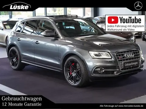 Used AUDI SQ5 Diesel 2016 Ad 