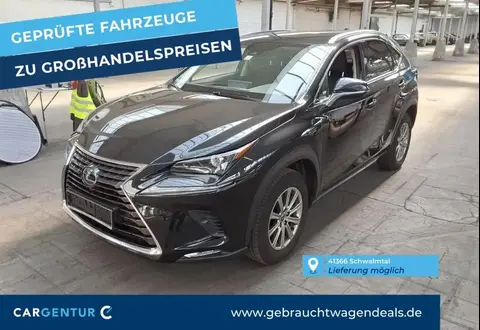 Used LEXUS NX Petrol 2020 Ad 