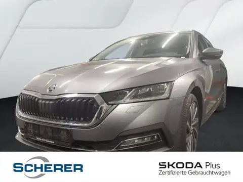 Used SKODA OCTAVIA Diesel 2023 Ad 