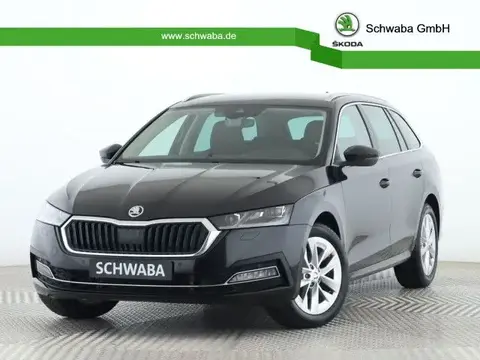 Annonce SKODA OCTAVIA Diesel 2023 d'occasion 