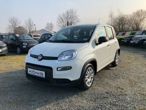 Annonce FIAT PANDA Essence 2024 d'occasion 