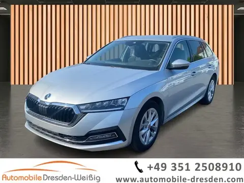 Used SKODA OCTAVIA Petrol 2024 Ad 