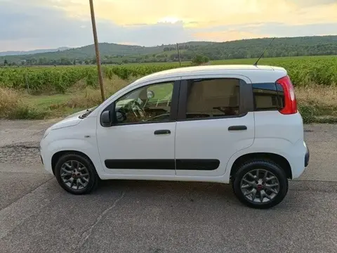 Used FIAT PANDA Diesel 2017 Ad 