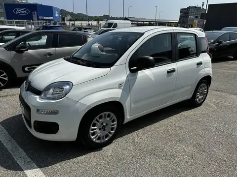 Annonce FIAT PANDA Hybride 2021 d'occasion 