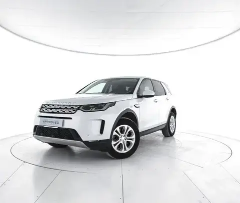 Used LAND ROVER DISCOVERY Hybrid 2020 Ad 